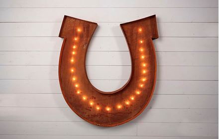 Picture of Lighted Horse Shoe