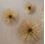 Picture of Brass Wall Flowers- Set of 3