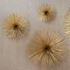 Picture of Brass Wall Flowers- Set of 3