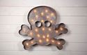 Picture of Skull Lighted Sign