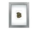 Picture of Pyrite (Shadow Box Mineral) 