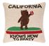 Picture of California Party Pillow