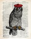 Picture of Hipster Owl