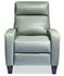 Picture of Dexter Comfort Recliner by American Leather 