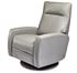 Picture of Eva Comfort Recliner by American Leather 