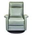 Picture of Fallon Comfort Recliner by American Leather