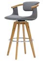 Picture of Darwin Bar Stool 