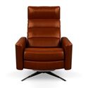 Picture of American Leather Comfort Air Cirrus Chair 